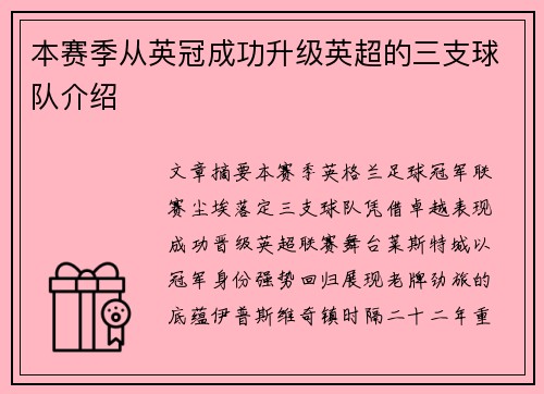 本赛季从英冠成功升级英超的三支球队介绍